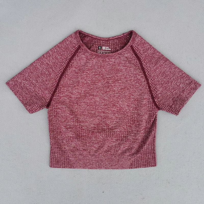 Gym Top for Women Short Sleeve Yoga Crop Top Sports T Shirts Clothes Fitness Seamless Workout Tee Sports Tops Activewear - Image 2